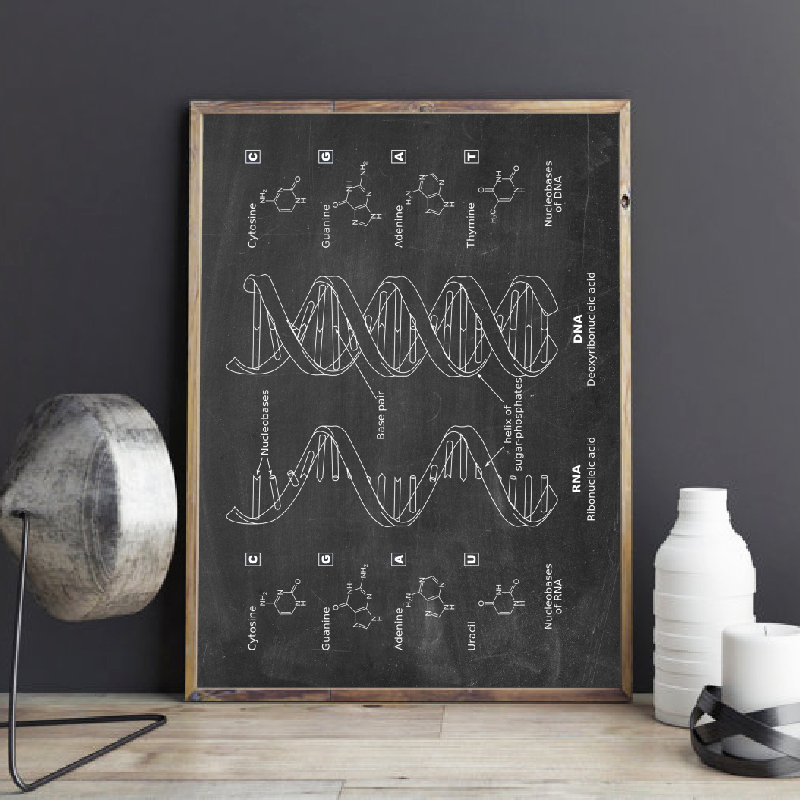 Star Map Poster - ДНК Патент Настенное Искусство Генетика Плакаты
